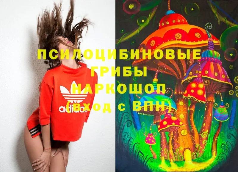 darknet наркотические препараты  Татарск  Галлюциногенные грибы Magic Shrooms 